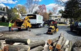 Best Tree Mulching  in Long Creek, IL